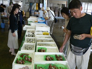 玉島魚市場