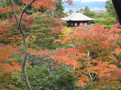 この日の銀閣寺